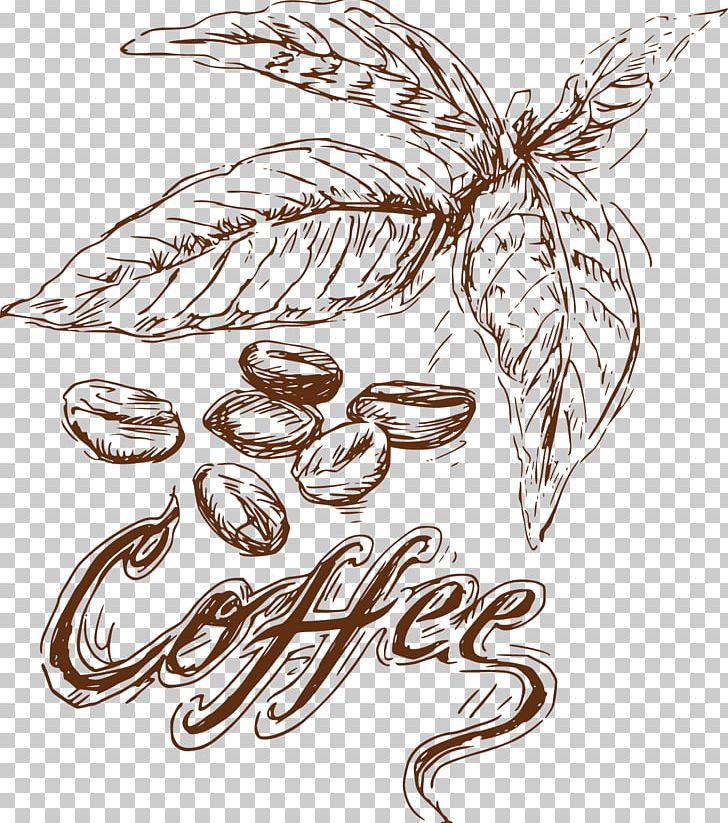 Coffee Bean Food PNG, Clipart, Art, Artwork, Artwork Vector, Bean, Black And White Free PNG Download