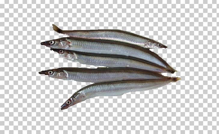 Sardine Pacific Saury Fish Products Anchovies As Food Oily Fish PNG, Clipart, Anchovies As Food, Anchovy, Anchovy Food, Animal Source Foods, Bamboo Shoot Free PNG Download