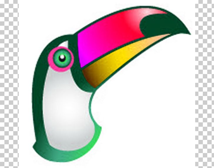 Toucan Beak PNG, Clipart, Animal, Beak, Bird, Document, Green Free PNG Download