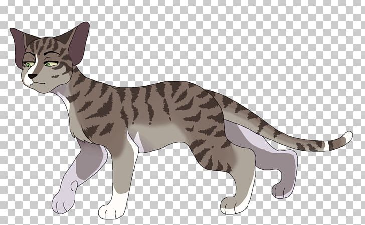 American Shorthair California Spangled European Shorthair Ocicat Sokoke PNG, Clipart, American Wirehair, Animal, Animal Figure, Animals, Asian Free PNG Download