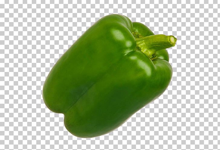 Bell Pepper Portable Network Graphics Chili Pepper Vegetable PNG, Clipart, Bell Pepper, Bell Peppers And Chili Peppers, Black Pepper, Chili Pepper, El Pimiento Verde Free PNG Download
