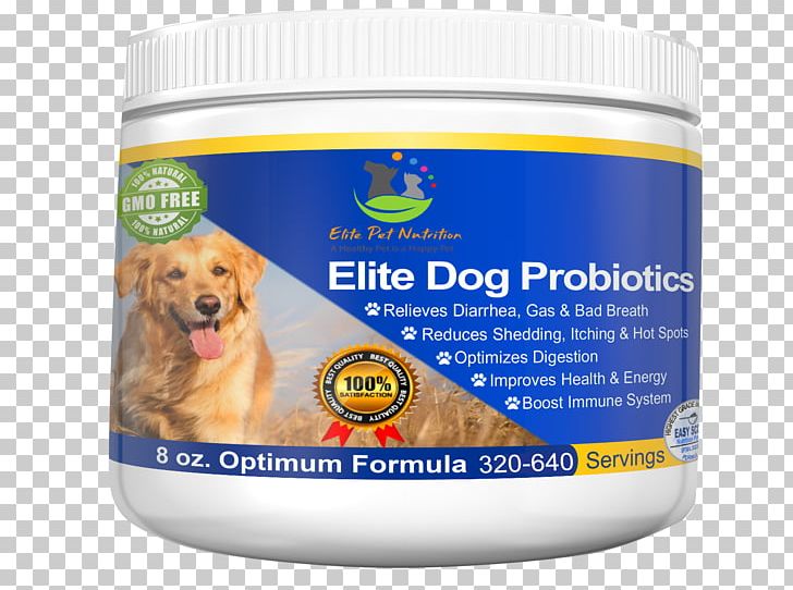 Dog Probiotic Dietary Supplement Cat Veterinarian PNG, Clipart,  Free PNG Download