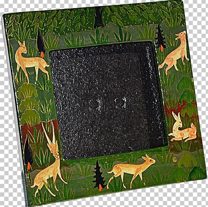 Frames Fauna Rectangle PNG, Clipart, Fauna, Grass, Miscellaneous, Others, Picture Frame Free PNG Download