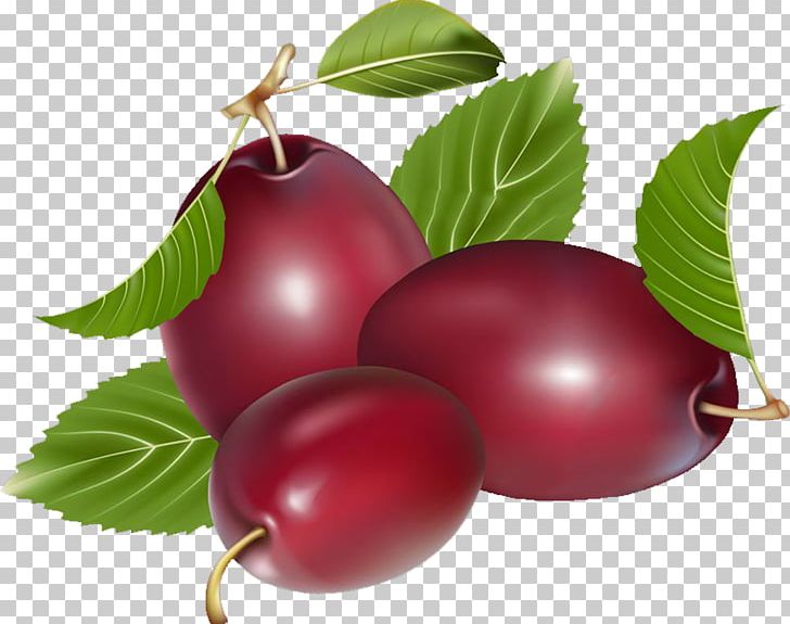 Nectarine Fruit Auglis PNG, Clipart, Auglis, Beautiful, Berry, Cherry, Cranberry Free PNG Download