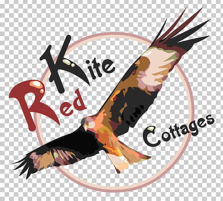 Red Kite Cottages Ltd Illustration Graphics PNG, Clipart, Beak, Bird, Bird Of Prey, Cottage, Holiday Home Free PNG Download