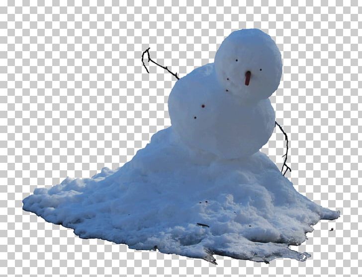 Snowman Pale Man Eye PNG, Clipart, Child, Crystal, Evil, Eye, Frosty Free PNG Download