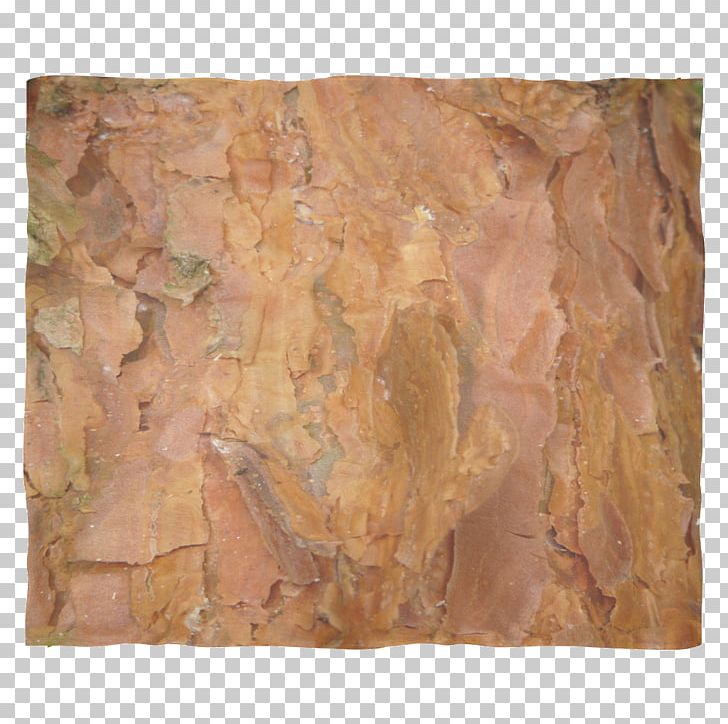 Textile Polar Fleece Blanket Wood Plush PNG, Clipart, Bark, Blanket, Curtain, Douchegordijn, M083vt Free PNG Download