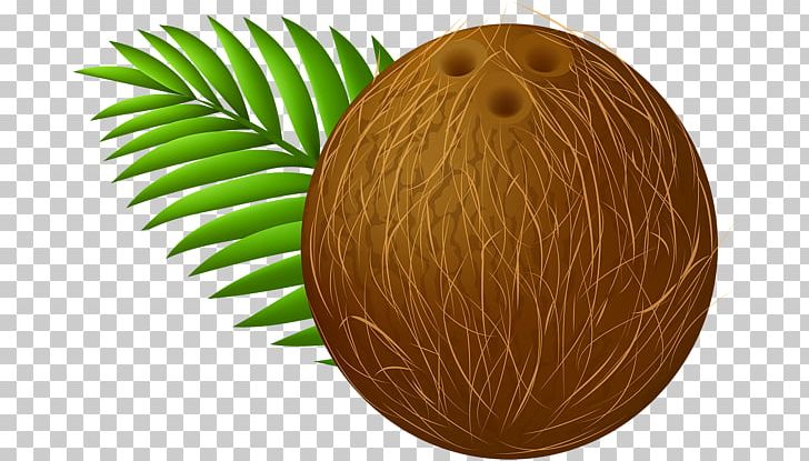 Coconut Milk PNG, Clipart, Cartoon, Clip Art, Coconut, Coconut Milk, Coconut Oil Free PNG Download
