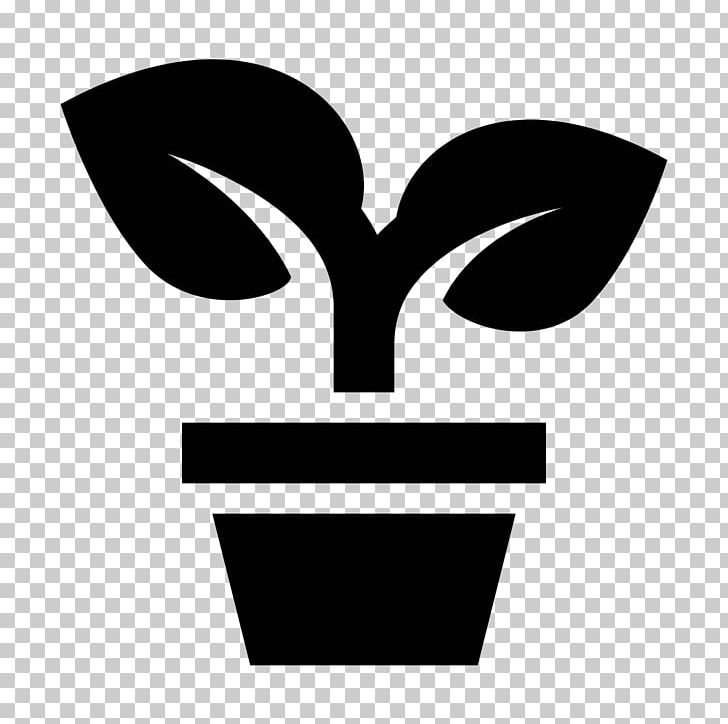 Computer Icons Tree Plant Evergreen PNG, Clipart, Arecaceae, Black And White, Clip Art, Coconut, Computer Icons Free PNG Download
