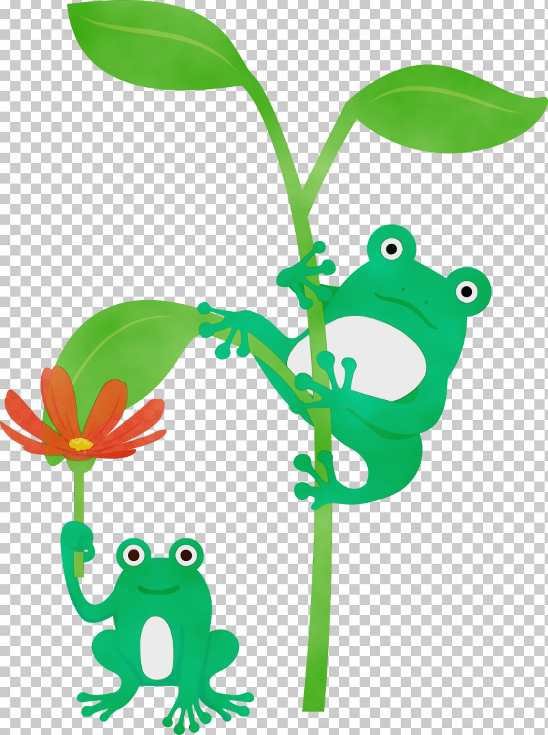 Leaf Plant Stem Frogs Tree Frog Cartoon PNG, Clipart, Animal Figurine, Biology, Cartoon, Frog, Frogs Free PNG Download