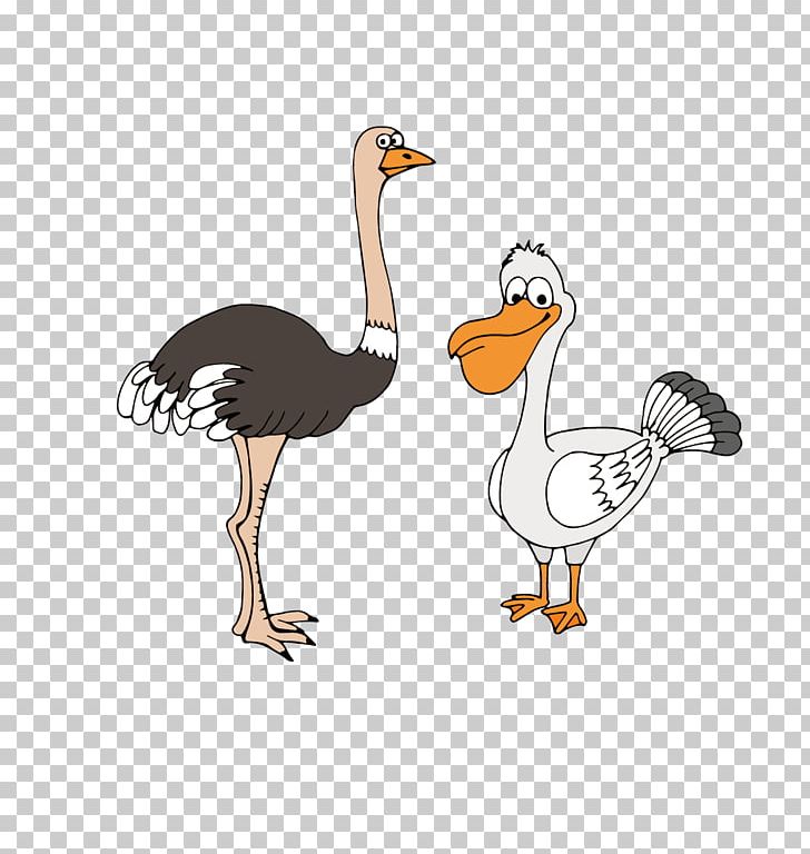 Common Ostrich Bird Gulls Cartoon Drawing PNG, Clipart, Animal, Animals, Balloon Cartoon, Cartoon Arms, Cartoon Character Free PNG Download