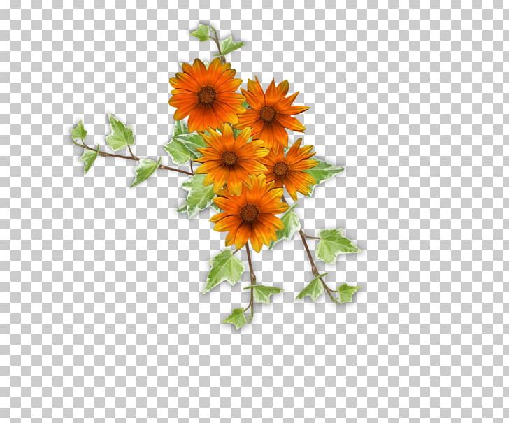 Flower Painting PNG, Clipart, Calendula, Chrysanths, Cut Flowers, Daisy Family, Flower Free PNG Download