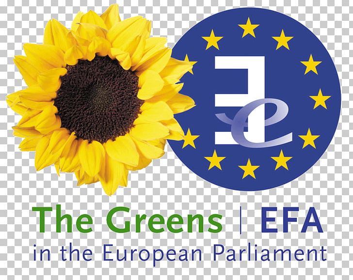 Greens–European Free Alliance European Union Member Of The European Parliament Green European Foundation PNG, Clipart,  Free PNG Download