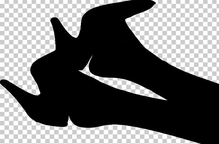 High-heeled Shoe Stiletto Heel Foot Fashion PNG, Clipart, Accessories, Black, Black And White, Download, Fashion Free PNG Download