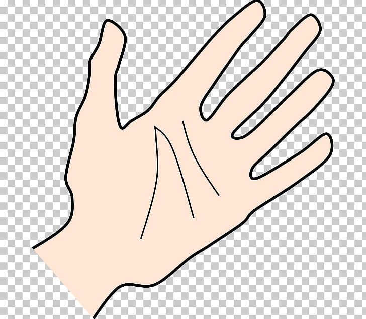 Face Hand Others PNG, Clipart, Area, Arm, Clip Art, Dlan, Document Free PNG Download