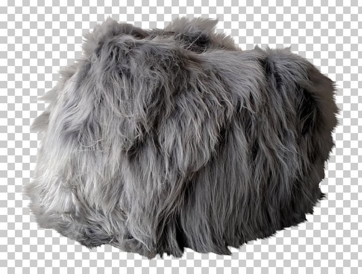 Fur Snout Grey PNG, Clipart, Bag, Bean, Bean Bag, Bean Bag Chair, Dog Like Mammal Free PNG Download