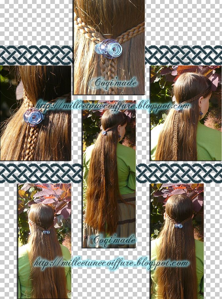 Long Hair Hair Coloring Braid Wig PNG, Clipart, Braid, Brown, Brown Hair, Hair, Hair Accessory Free PNG Download