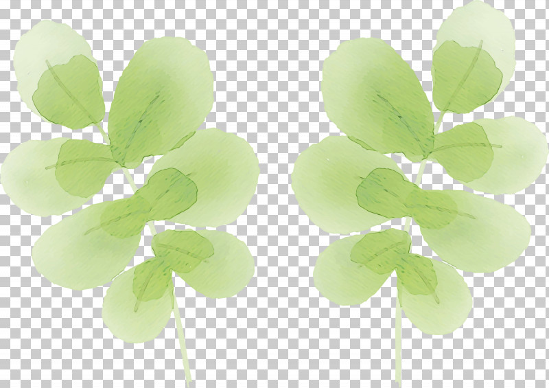 Shamrock PNG, Clipart, Biology, Green, Leaf, Paint, Petal Free PNG Download