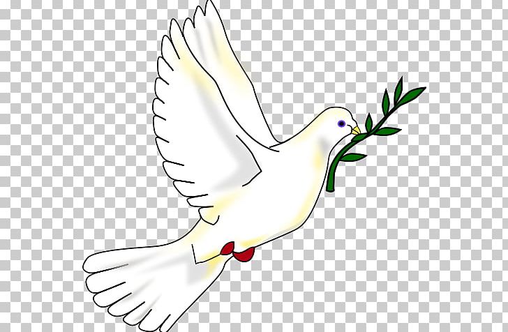Columbidae Peace Symbols Doves As Symbols PNG, Clipart, Area, Art, Artwork, Beak, Bird Free PNG Download