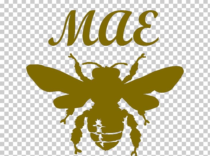 European Dark Bee Queen Bee Honey Bee PNG, Clipart, Arthropod, Bee, Beehive, Brand, Bumblebee Free PNG Download