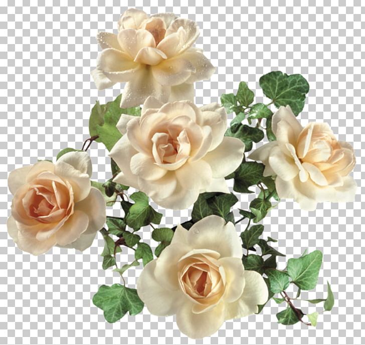 Garden Roses Flower PNG, Clipart, Artificial Flower, Cut Flowers, Digital Image, Floral Design, Floribunda Free PNG Download