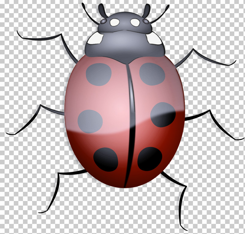 Ladybug PNG, Clipart, Beetle, Blister Beetles, Cartoon, Darkling Beetles, Insect Free PNG Download