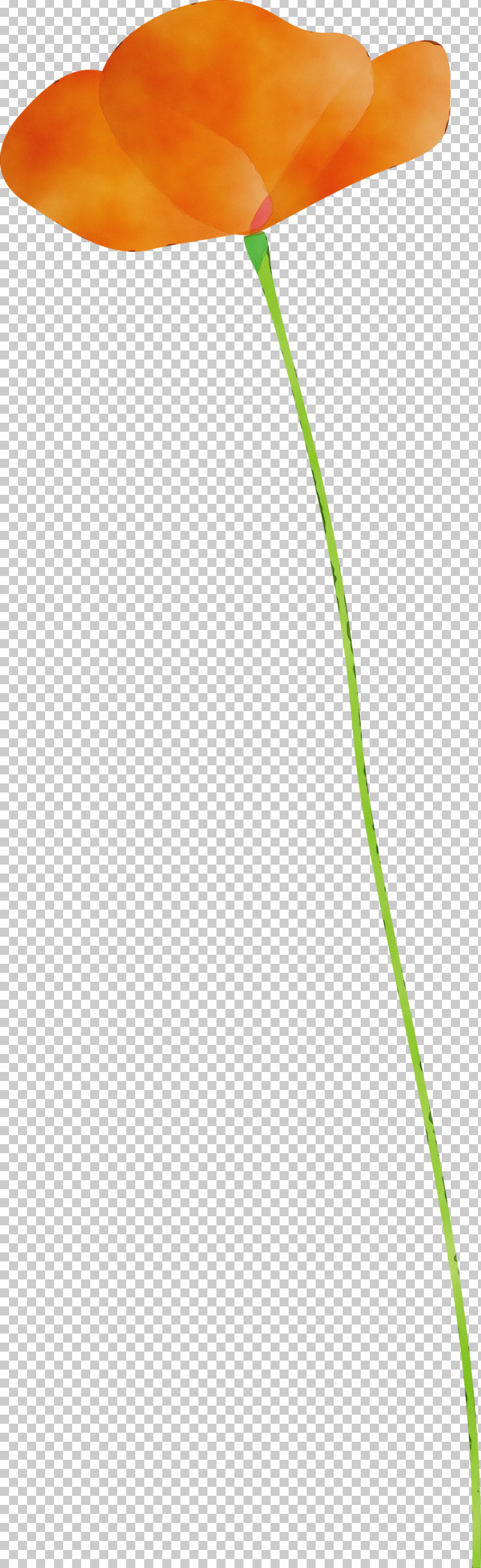 Green Leaf Grass Family Grass Plant PNG, Clipart, Grass, Grass Family, Green, Leaf, Line Free PNG Download