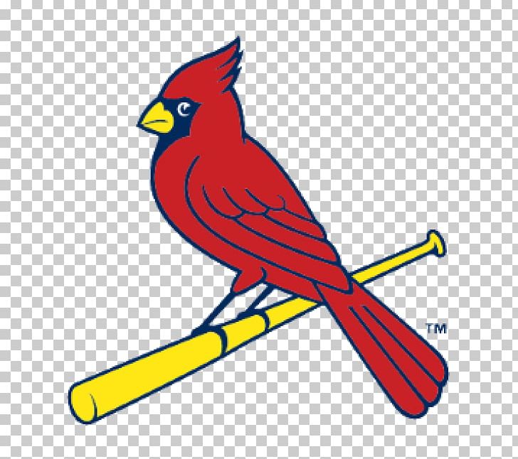 2017 St. Louis Cardinals Season Busch Stadium MLB Baseball PNG, Clipart, Art, Artwork, Baseball, Beak, Bird Free PNG Download