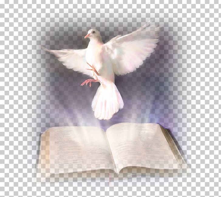 Bible Holy Spirit In Christianity Baptism With The Holy Spirit God PNG, Clipart, Baptism With The Holy Spirit, Beak, Bible, Bird, Christian Church Free PNG Download