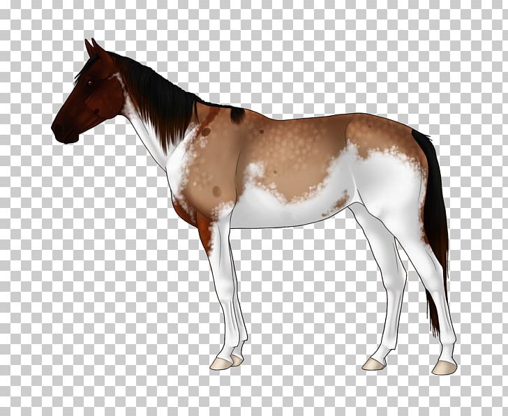 Mule Foal Mustang Stallion Colt PNG, Clipart, Adopt, Animal Figure, Bridle, Colt, Foal Free PNG Download