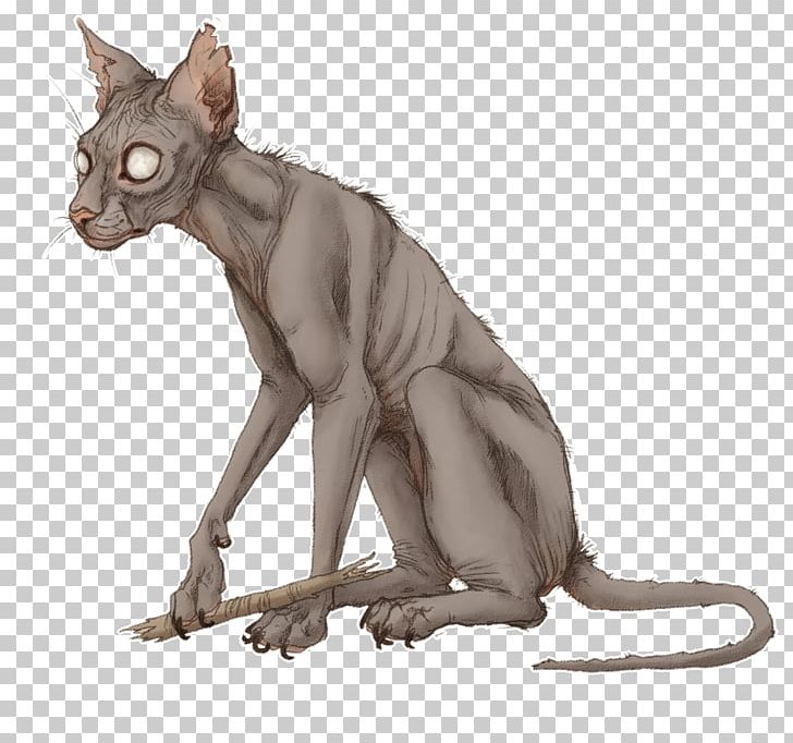 Peterbald Whiskers Domestic Short-haired Cat Warriors Blossomfall PNG, Clipart, Art, Carnivoran, Cat Like Mammal, Claw, Deviantart Free PNG Download