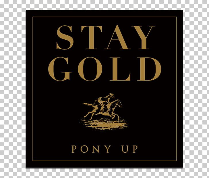 Pony Up PNG, Clipart, Bed Sheets, Brand, Compact Disc, Gold, Gold Compact Disc Free PNG Download