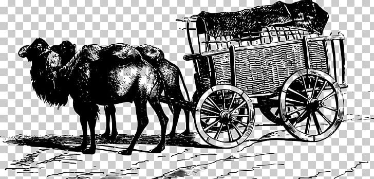 Bactrian Camel Cart Illustration PNG, Clipart, Animal, Animals, Bactrian Camel, Black Hair, Black White Free PNG Download