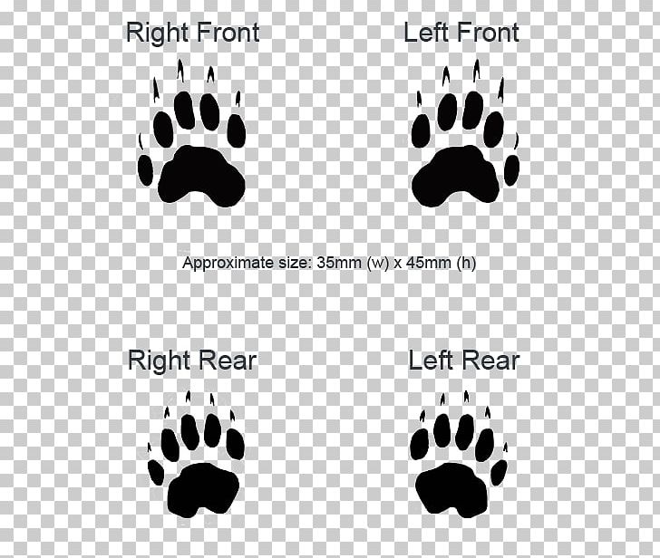 European Badger Animal Track Paw PNG, Clipart, Animal, Animal Track, Badger, Black, Black And White Free PNG Download