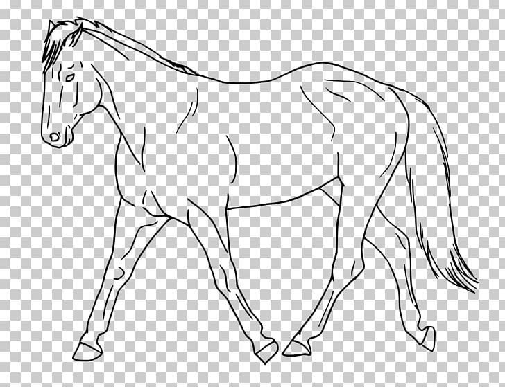Mule Mustang Foal Stallion PNG, Clipart, Animals, Arm, Artwork, Black And White, Bridle Free PNG Download