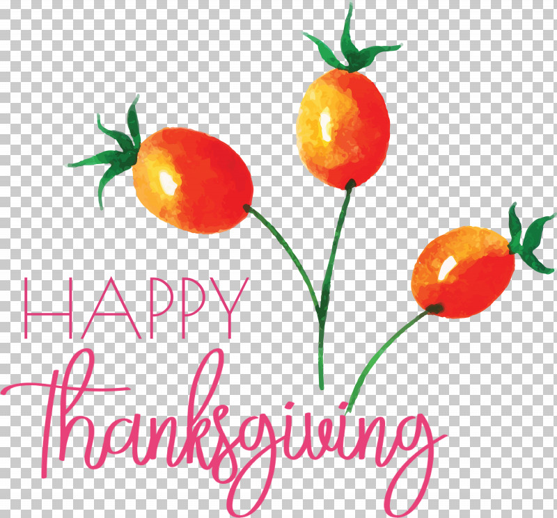 Happy Thanksgiving PNG, Clipart, Flower, Fruit, Happy Thanksgiving, Local Food, Meter Free PNG Download