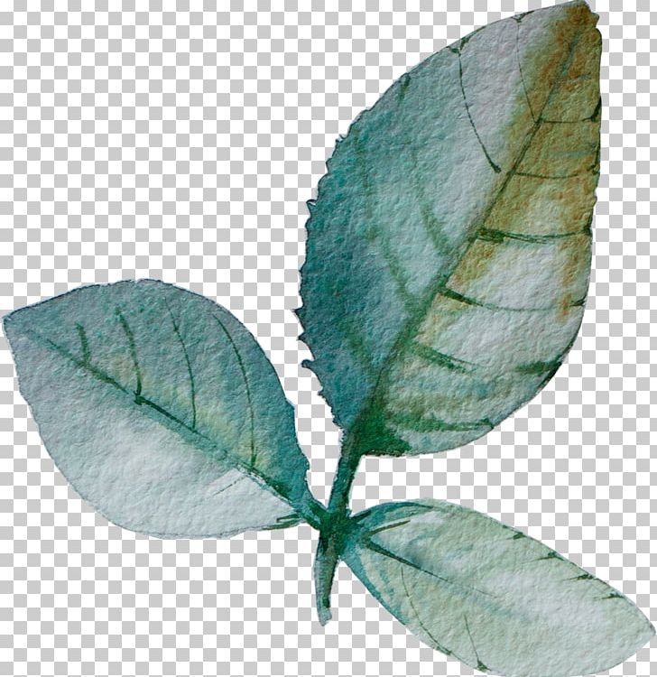 Leaf Paper PNG, Clipart, Autumn Leaves, Banana Leaves, Blue, Blue Leaves, Colored Pencil Free PNG Download