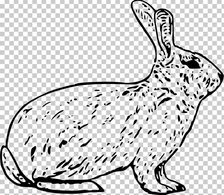 Arctic Hare Snowshoe Hare European Hare Easter Bunny PNG, Clipart, Animals, Arctic, Arctic Fox, Carnivoran, Dog Like Mammal Free PNG Download