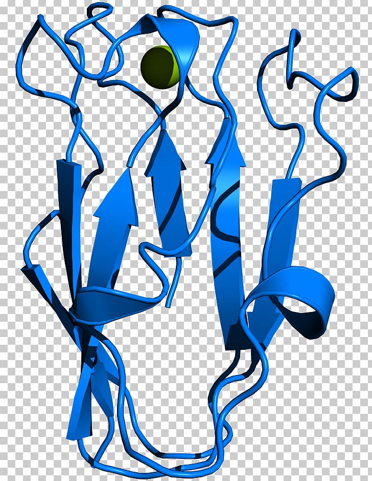 Plastocyanin Thylakoid Cytochrome B6f Complex Blue-green Bacteria Photosynthesis PNG, Clipart, Algae, Amino Acid, Artwork, Bluegreen Bacteria, Chloroplast Free PNG Download
