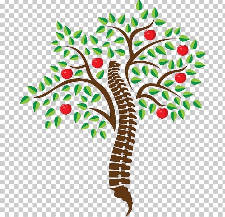 Chiropractic Vertebral Column Design PNG, Clipart, Art, Artwork, Branch, Cherry Tree, Chiropractic Free PNG Download