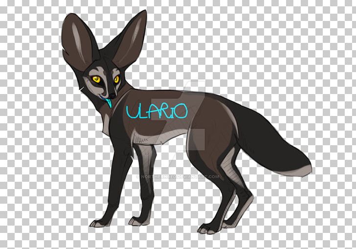 Dog Felidae Cat Fennec Fox Auction PNG, Clipart, Animal, Animals, Auction, Canidae, Carnivora Free PNG Download