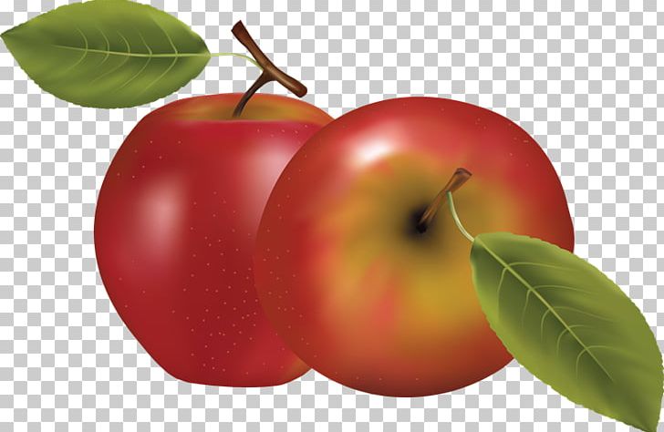 Apple PNG, Clipart, Accessory Fruit, Acerola, Acerola Family, Apple, Computer Icons Free PNG Download