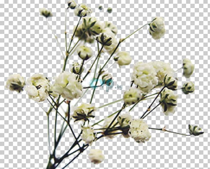 Floral Design Cut Flowers Twig Plant Stem PNG, Clipart, Art, Branch, Cut Flowers, Flora, Floral Design Free PNG Download