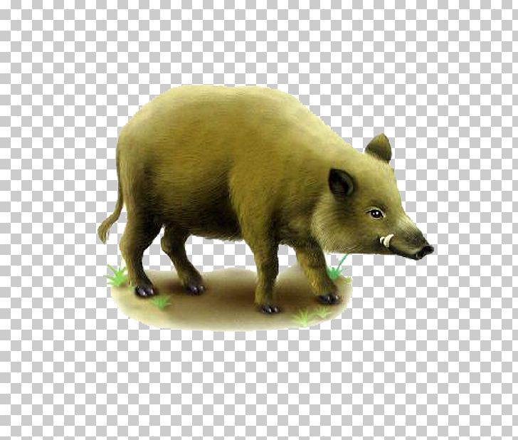 Wild Boar Game Tusk Euclidean PNG, Clipart, Animal, Animals, Boar, Brown, Brown Background Free PNG Download