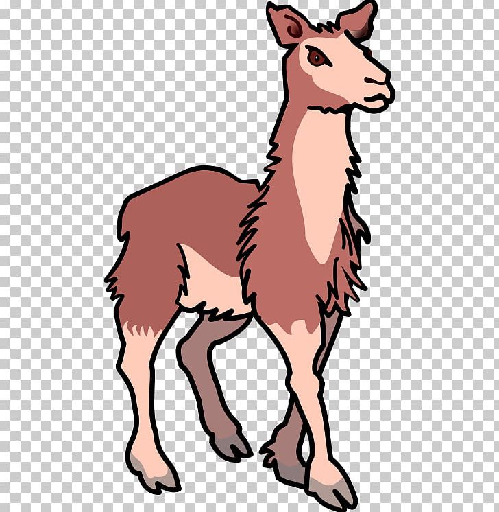 Llama Alpaca PNG, Clipart, Alpaca, Black And White, Blog, Camel Like Mammal, Cartoon Free PNG Download