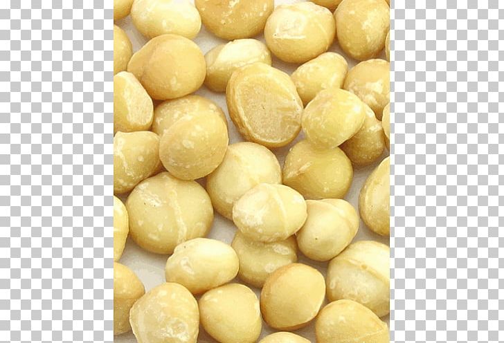 Macadamia Nut Australian Cuisine Organic Food PNG, Clipart, Australian Cuisine, Cashew, Commodity, Dried Fruit, Eating Free PNG Download