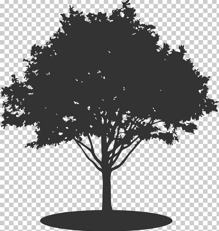 Silhouette Drawing PNG, Clipart, Animals, Black And White, Branch, Drawing, Leaf Free PNG Download