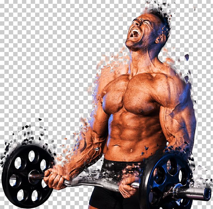 Weight Training Muscle Bodybuilding Barbell Lean Body Mass PNG, Clipart, Abdomen, Aggression, Arm, Barbell, Barechestedness Free PNG Download
