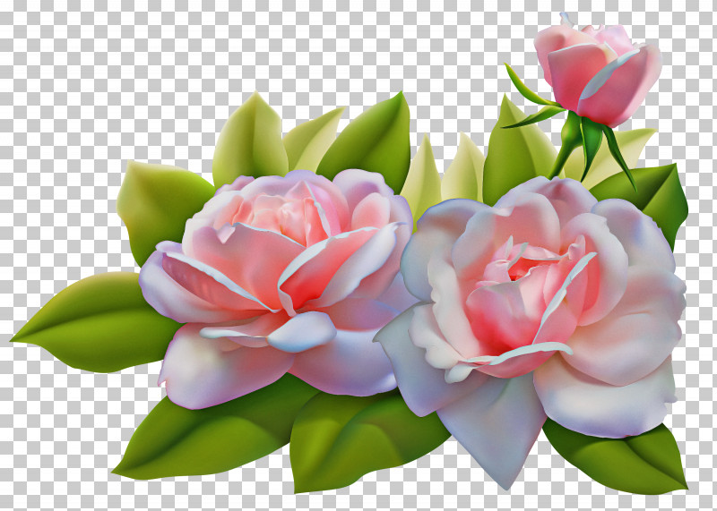 Artificial Flower PNG, Clipart, Artificial Flower, Chinese Peony, Cut Flowers, Flower, Garden Roses Free PNG Download