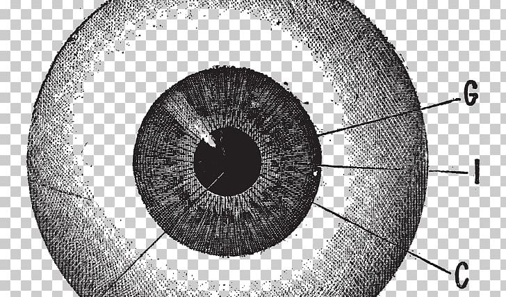 Human Eye Drawing Iris PNG, Clipart, Automotive Tire, Barrier, Black And White, Circle, Closeup Free PNG Download